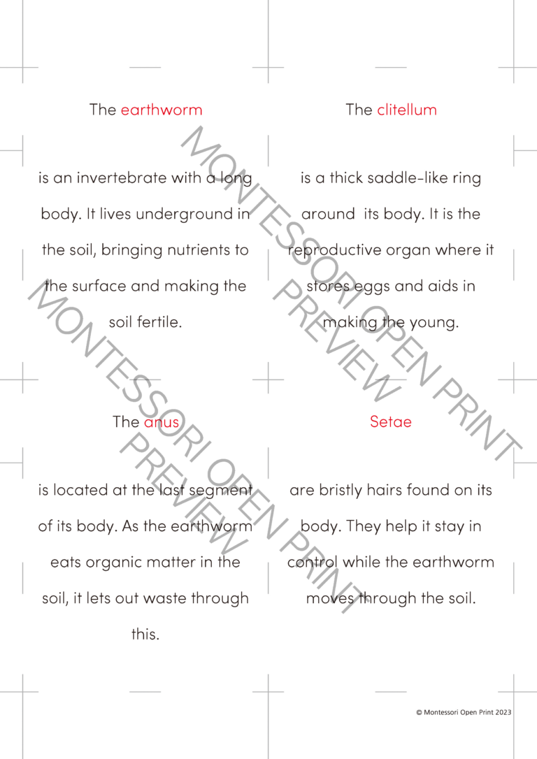 Montessori 3 Part Cards and Definitions - Parts of the Earthworm - Made ...