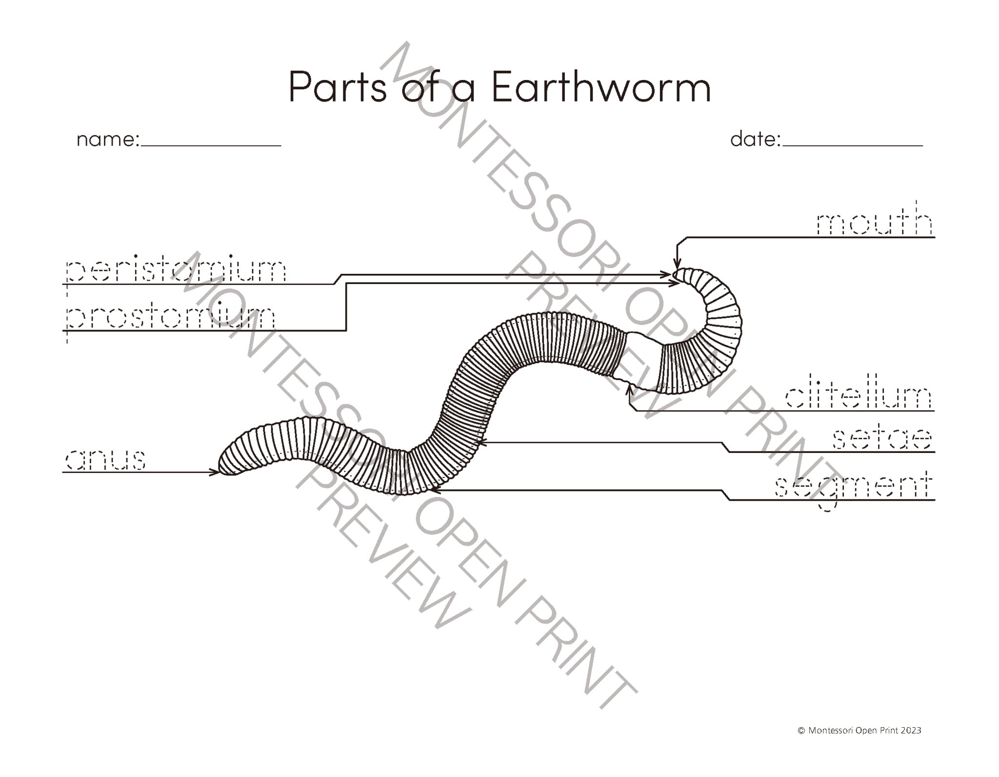 Montessori 3 Part Cards and Definitions - Parts of the Earthworm - Made ...