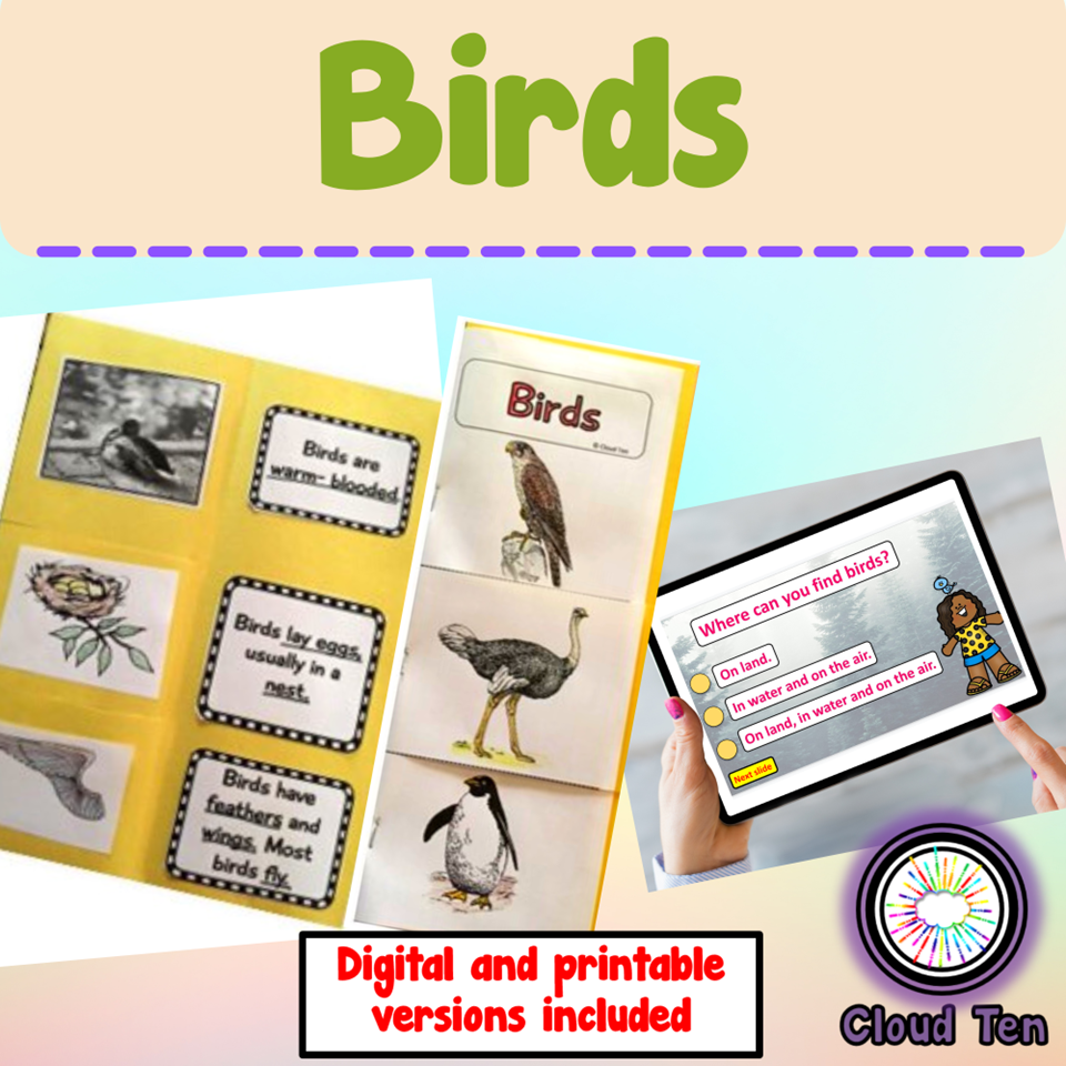 Birds