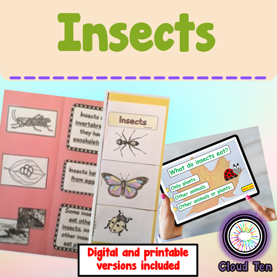 Insects