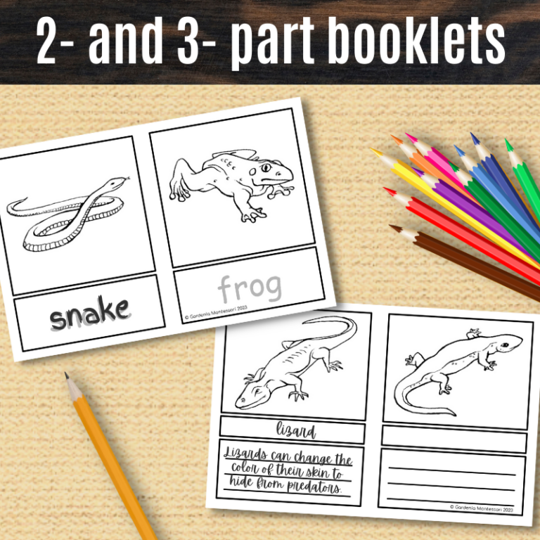 Amphibians Reptiles Cards and Booklet - Montessori Zoology Animal ...