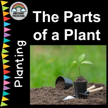 planting white clover seed White Clover Seed