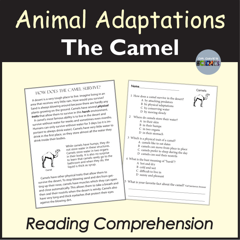 Camels in the Desert, Physical Adaptations Science Reading Comprehension