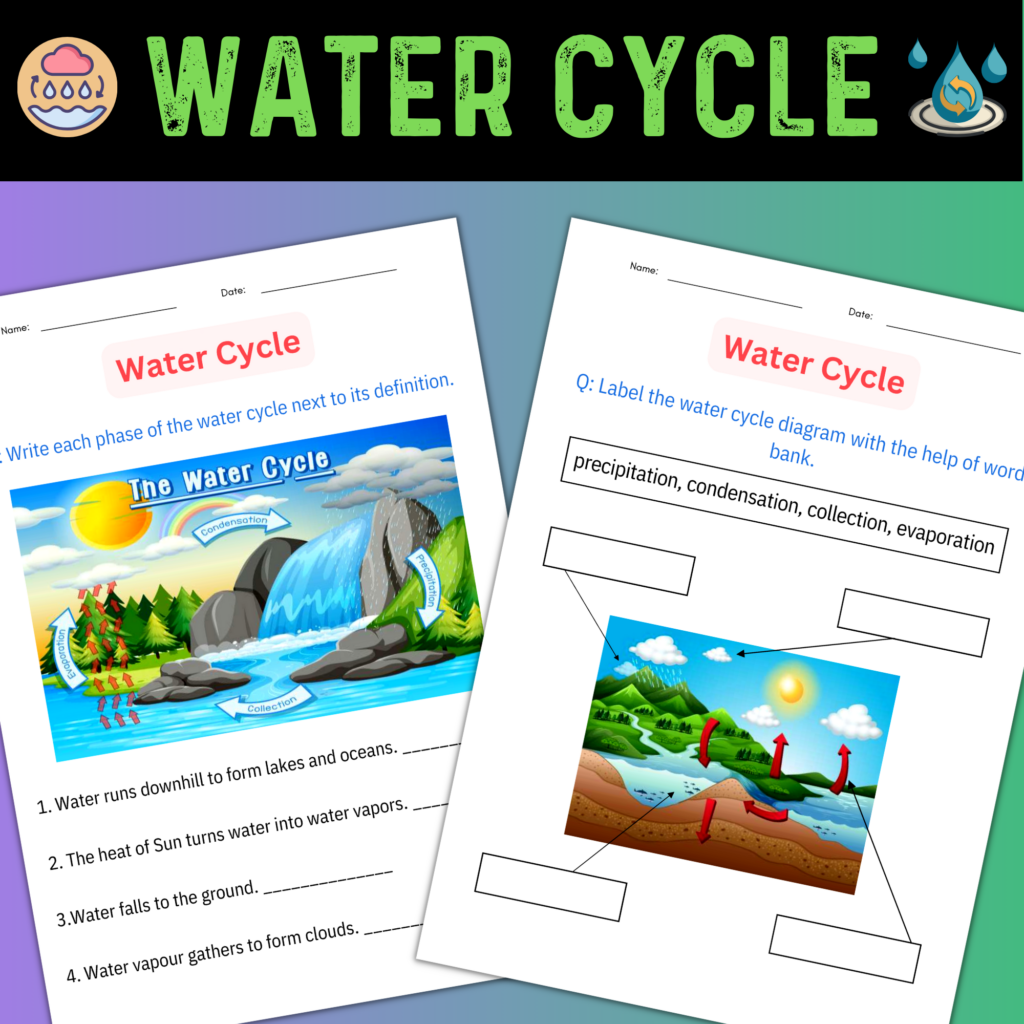 printable diagram Science water cycle worksheet and Activities for ...
