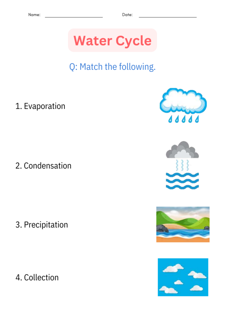 printable diagram Science water cycle worksheet and Activities for ...