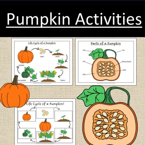 Pumpkin Fall Seasonal Activities Life Cycle and Parts of a Pumpkin ...