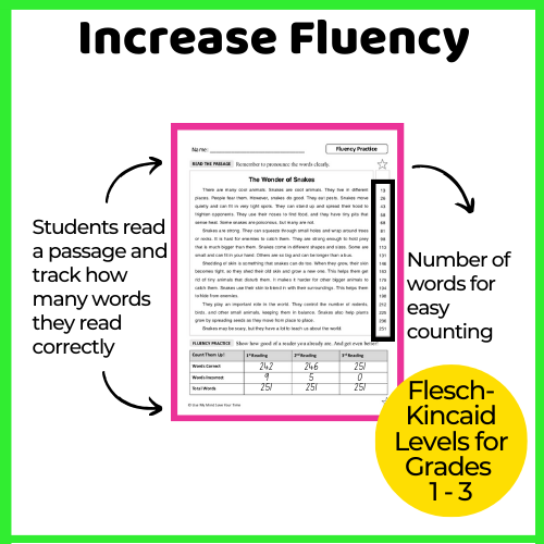 2nd Grade Reading Comprehension and Fluency Passages | Ask & Answer ...