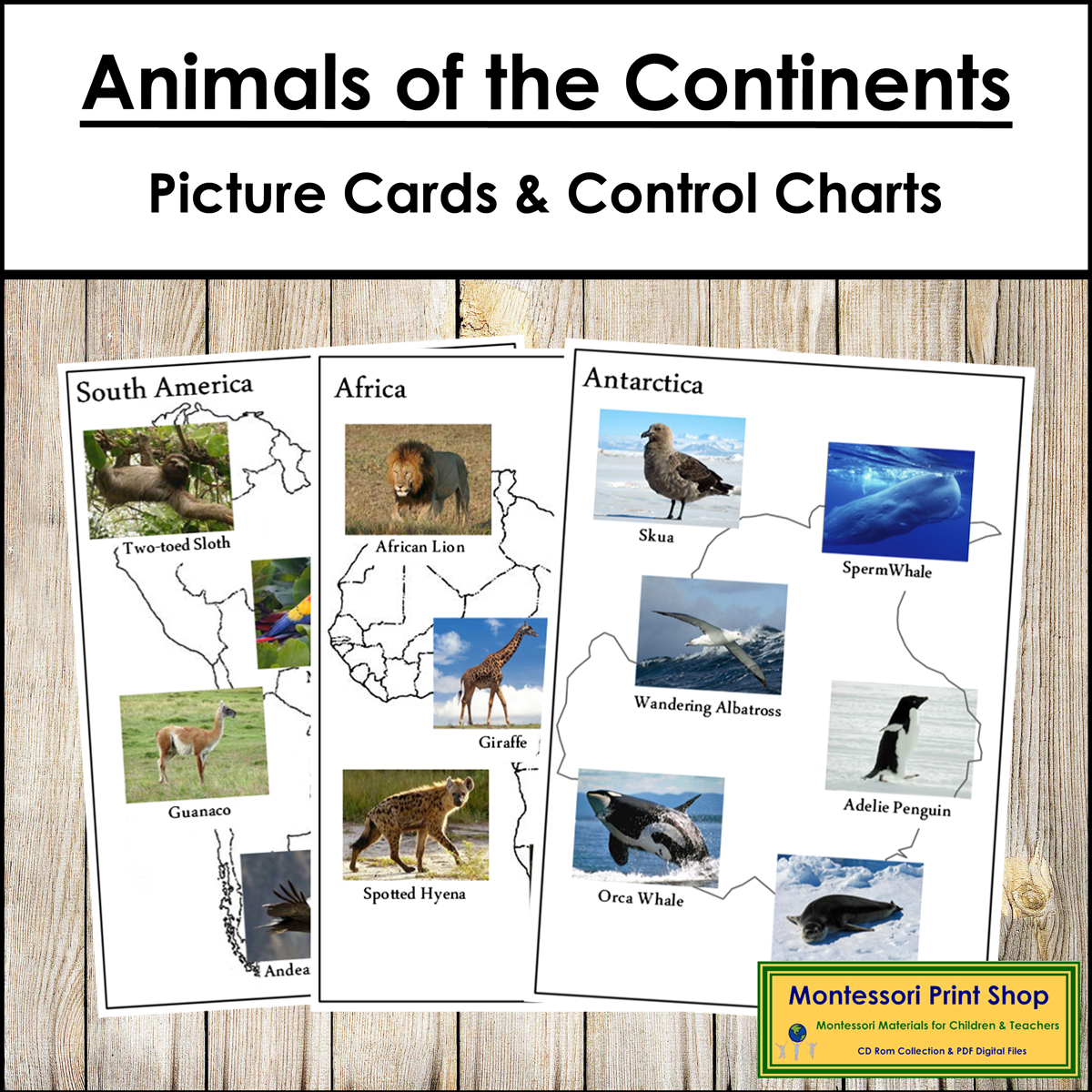 Animals of the Continents - Sorting Cards, Maps & Control Cards (Set 1)