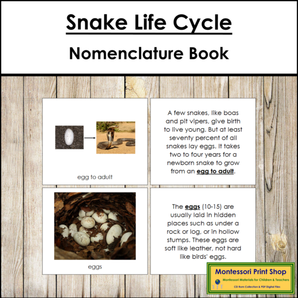 The Snake Life Cycle Book - Montessori Nomenclature - Made By Teachers