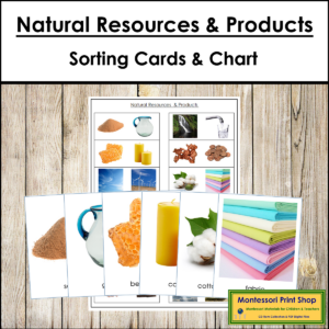 Natural Resources and Their Products - Matching Cards & Control Chart ...