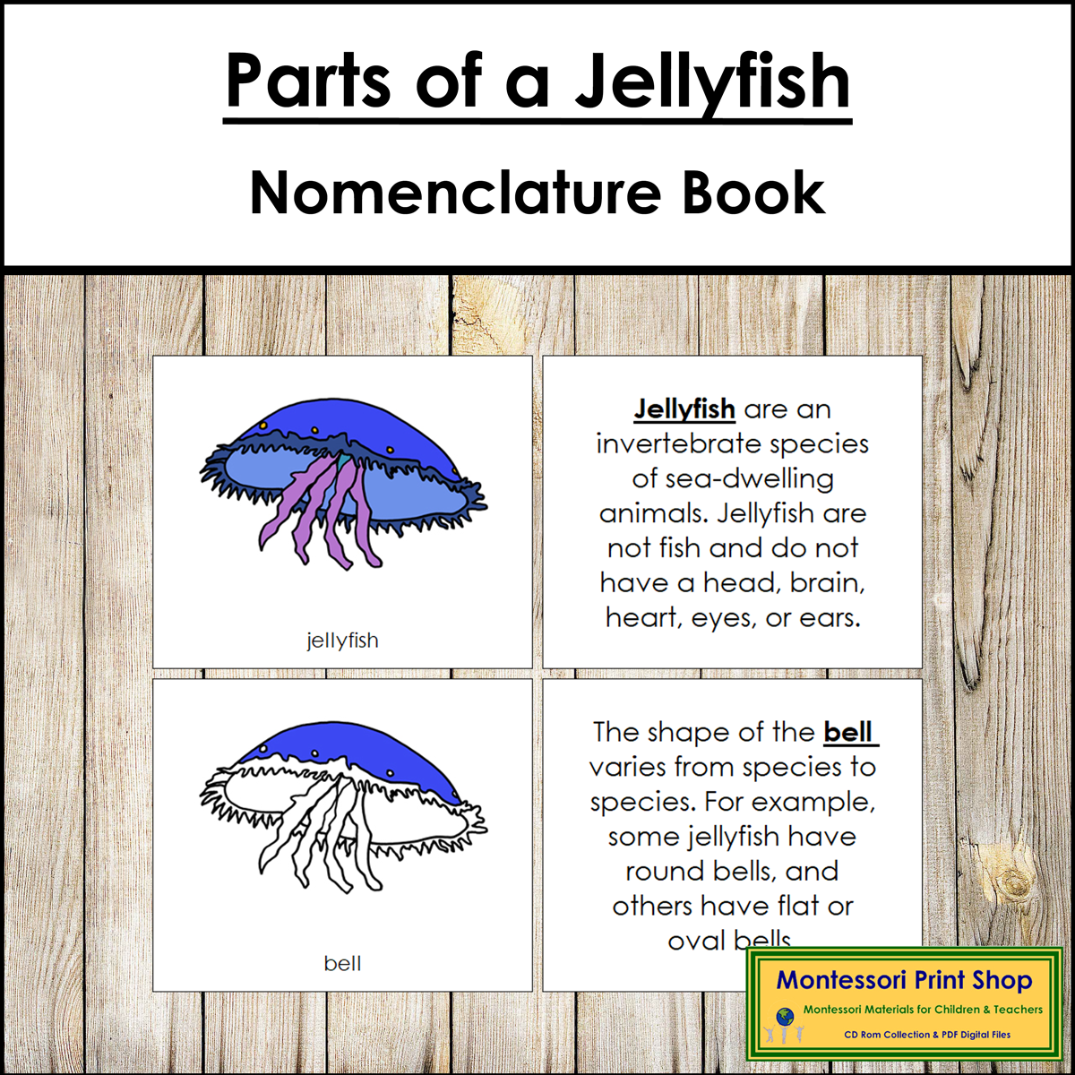 Parts of a Jellyfish Book - Montessori Nomenclature
