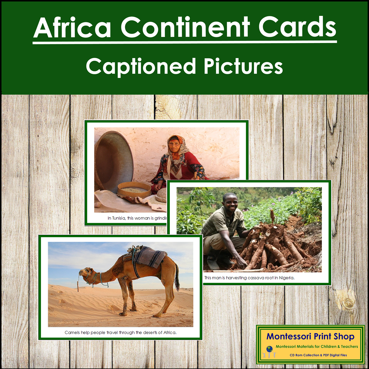 Africa Continent Cards (color borders) - Montessori Geography