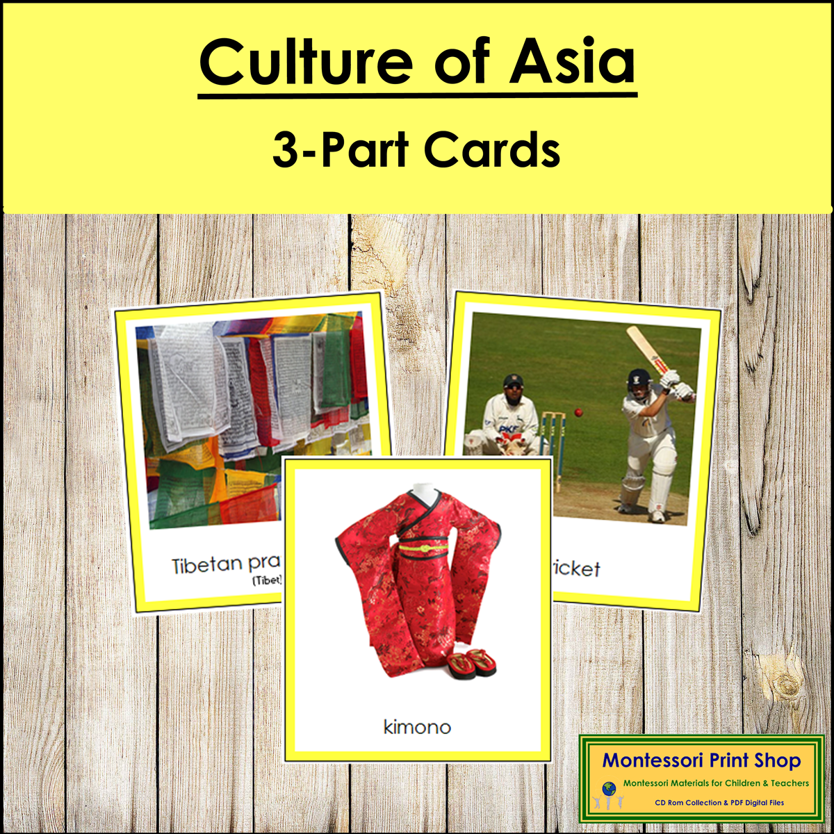 Culture of Asia 3-Part Cards (color borders) - Continent Cards