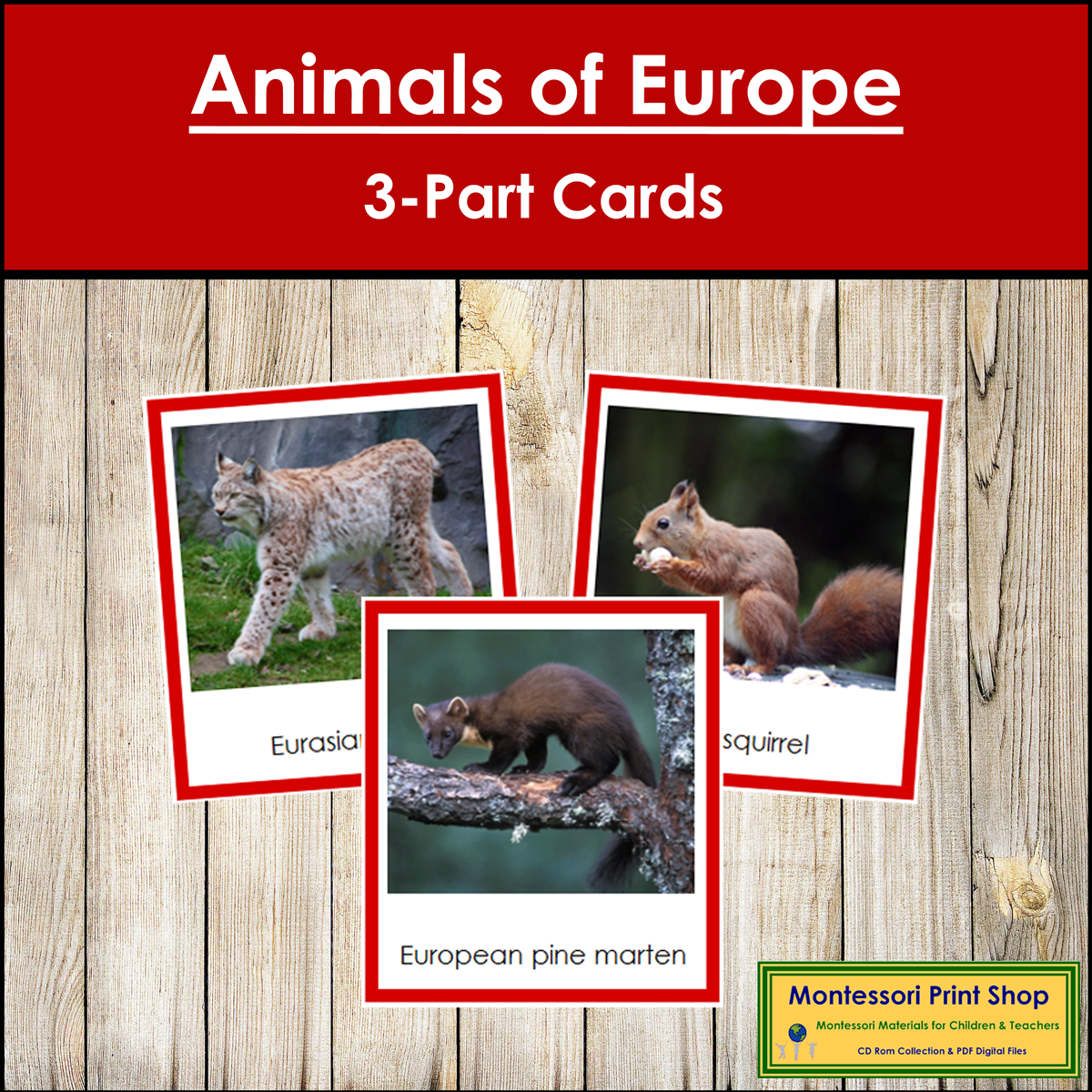 Animals of Europe 3-Part Cards (color borders) - Continent Cards
