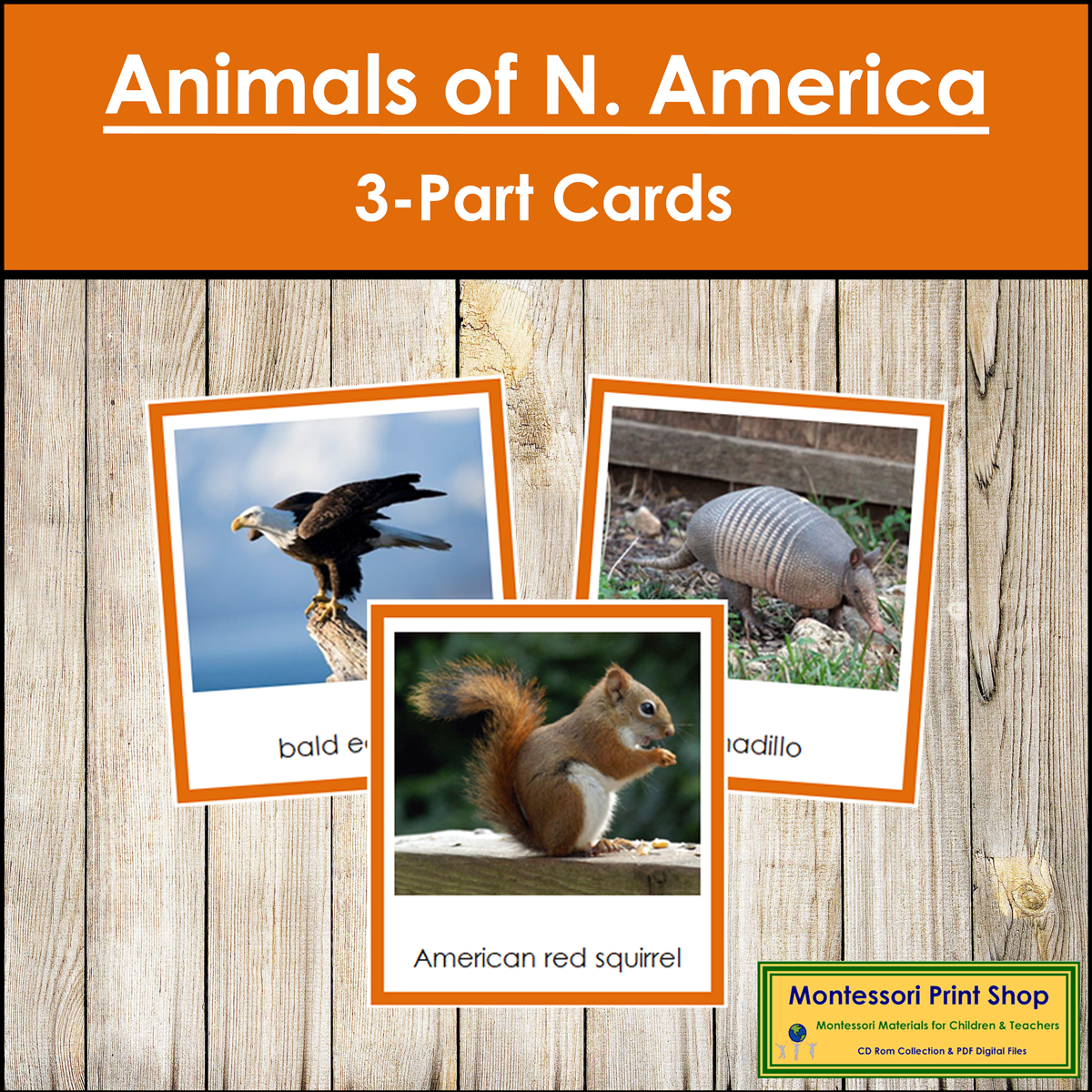 Animals of North America 3-Part Cards (color borders) - Continent Cards