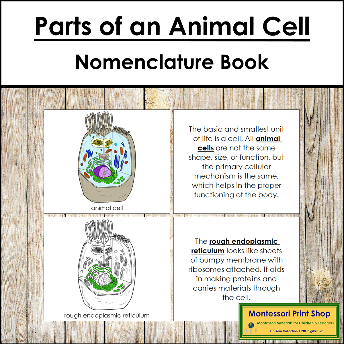 Parts of an Animal Cell Book - Montessori Nomenclature