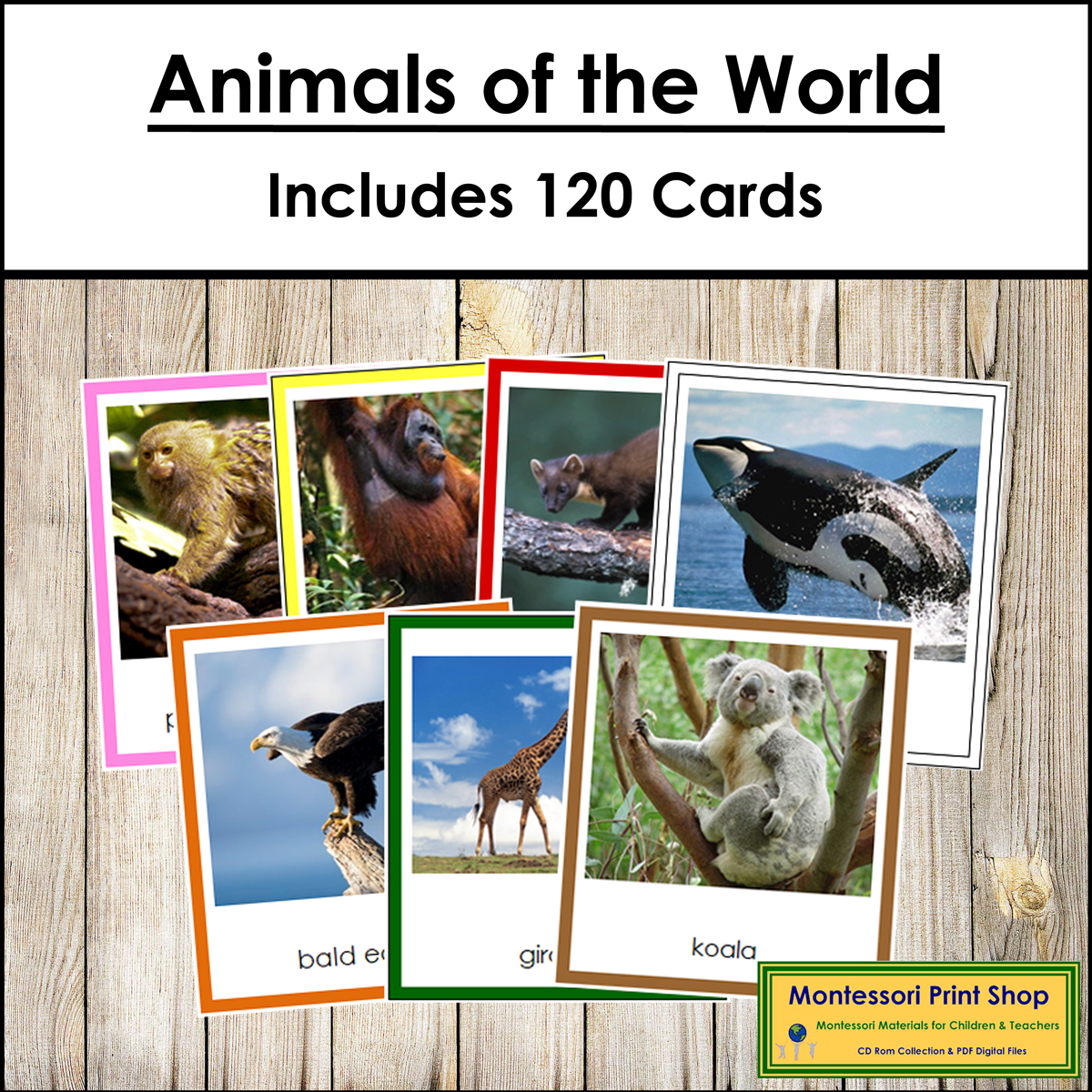 Animals of the World Bundle (color borders) - Montessori Geography