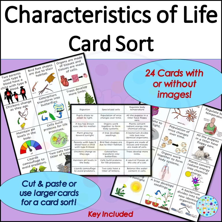Characteristics of Life Card Sort