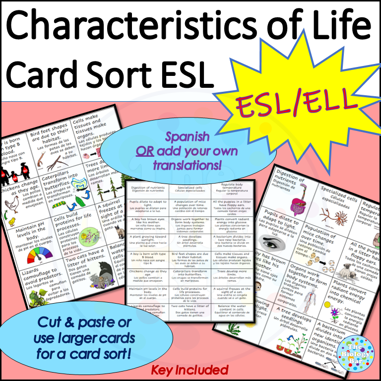 ESL Characteristics of Life Card Sort