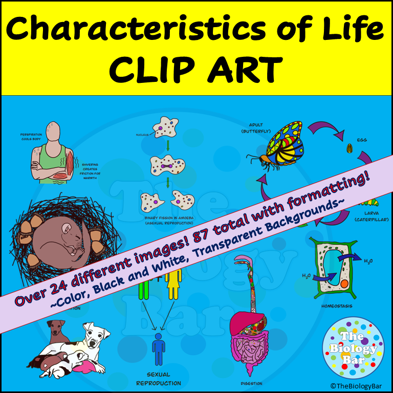 Characteristics of Life Biology Clip Art