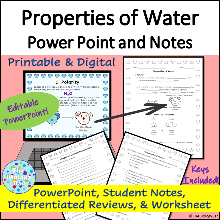 Properties of Water Notes and Worksheets
