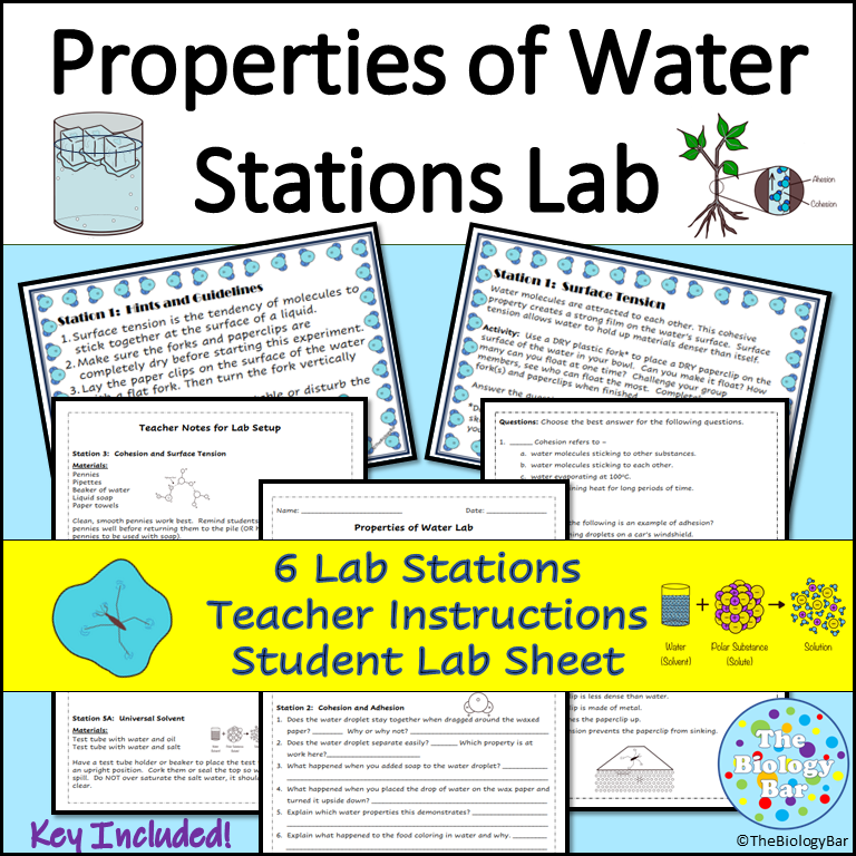 Properties of Water Stations Lab