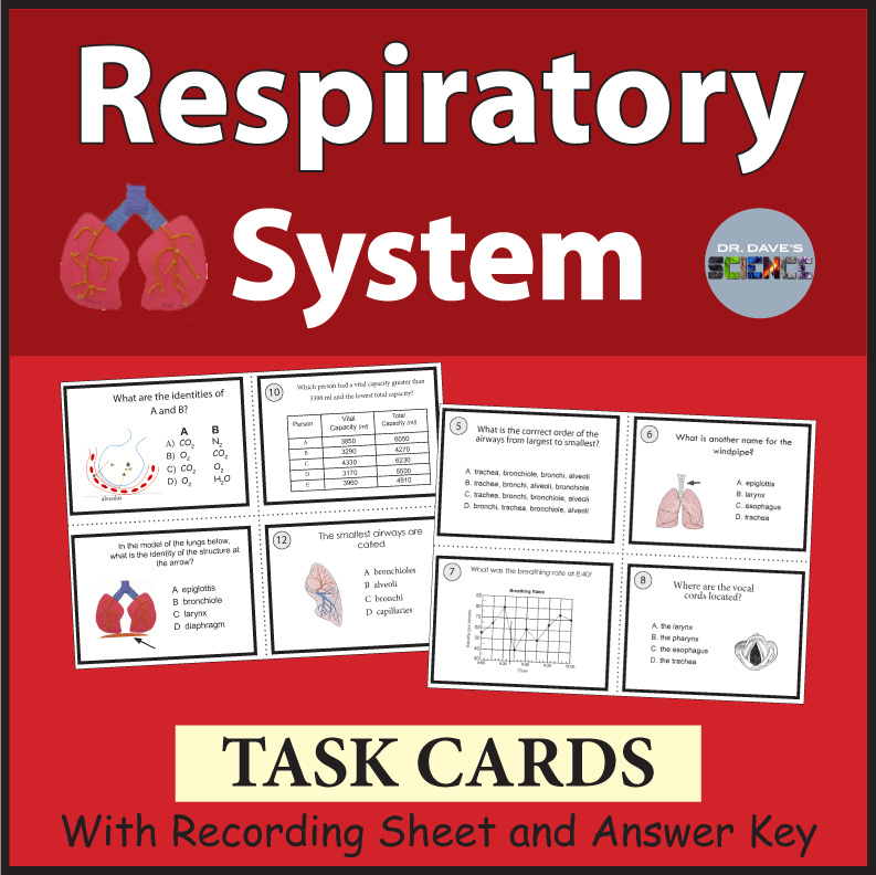 Respiratory System Task Cards, Human Body Systems, Lungs Anatomy