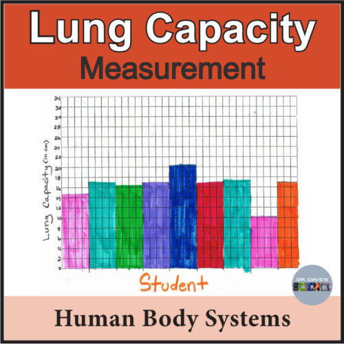 Respiratory System Activities and Lung Capacity - Made By Teachers