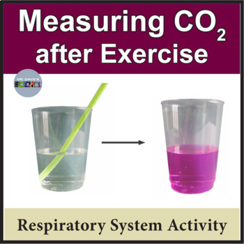Respiratory System Activity Measuring Carbon Dioxide in Exhalation