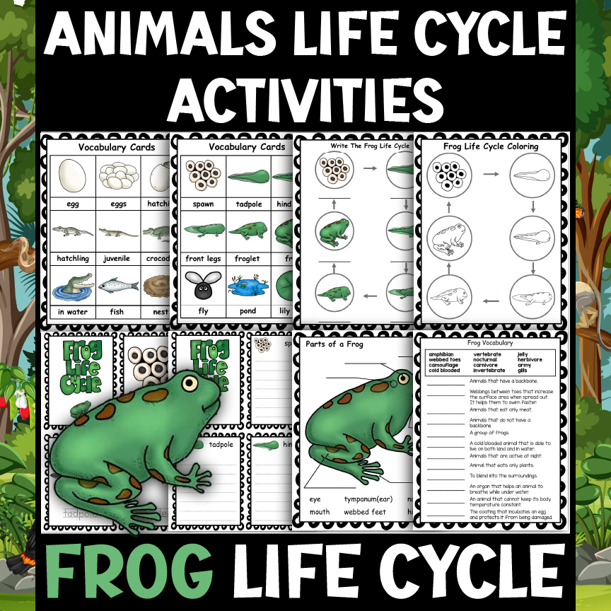 Frog Color. Sort Frog Life Cycle Worksheets - Coloring, Sorting, Vocabulary, Tracing and ...