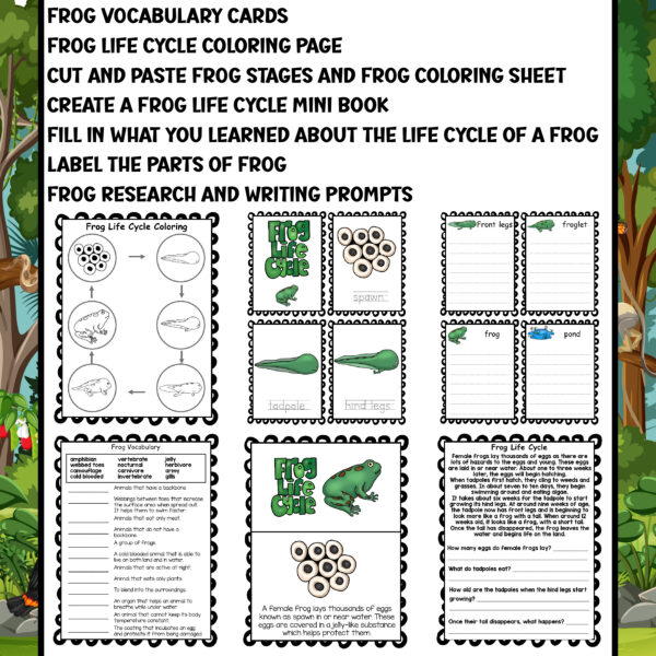 Frog Color. Sort Frog Life Cycle Worksheets - Coloring, Sorting, Vocabulary, Tracing and ...