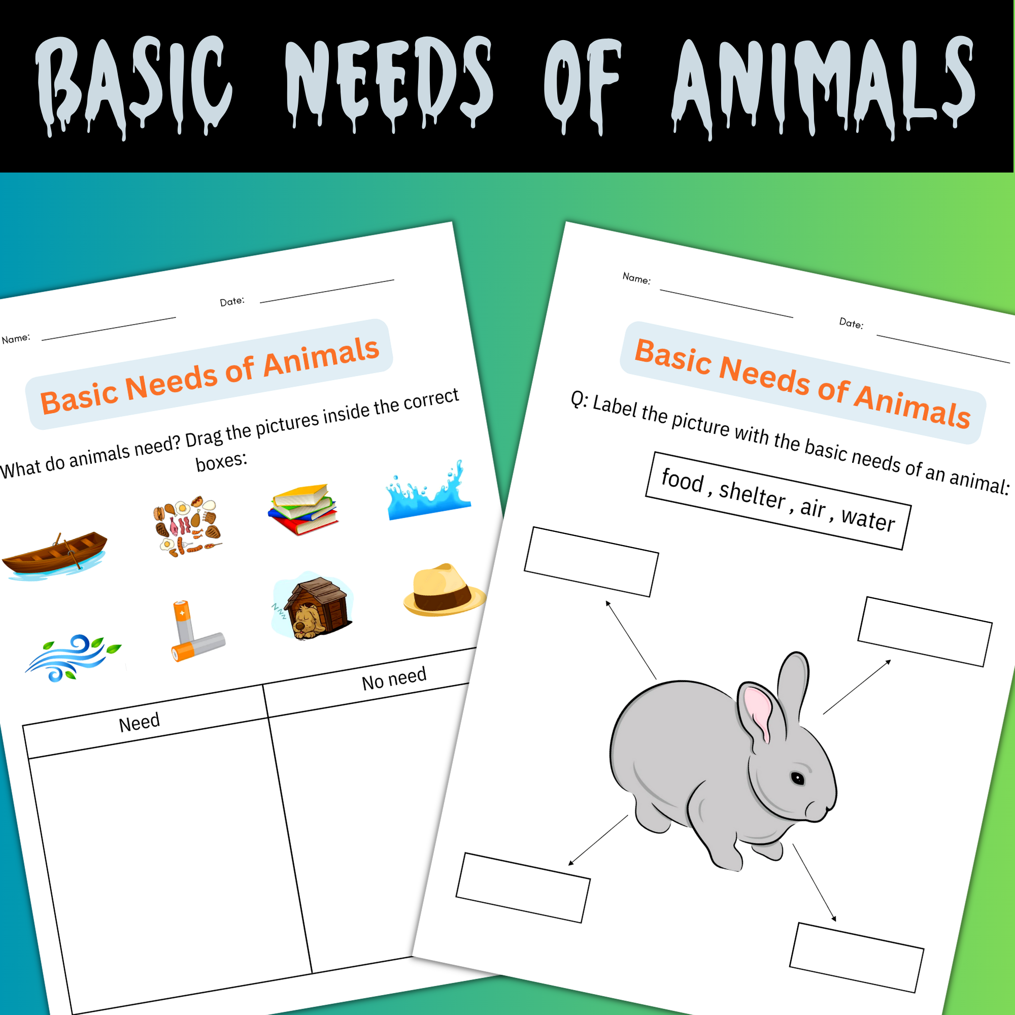Basic Needs of Animals Activities - Taking Care of Animals Worksheet for grade 1