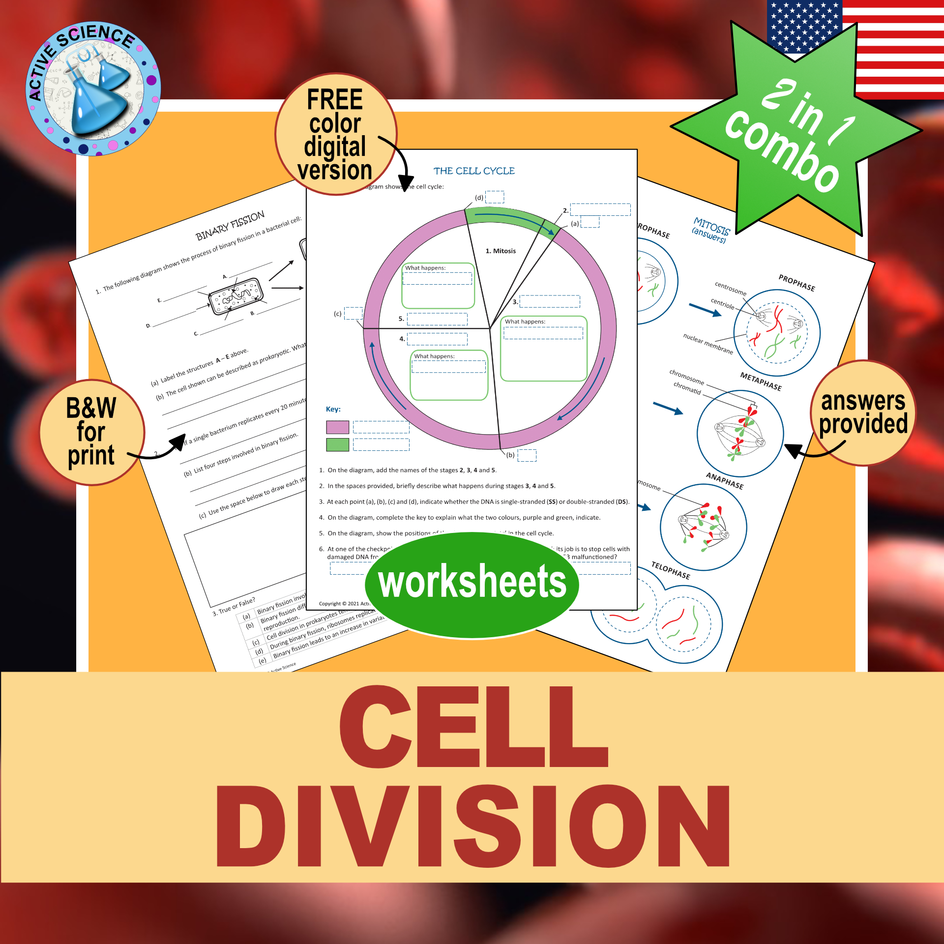 Cell Division: mitosis, meiosis and binary fission (US edition