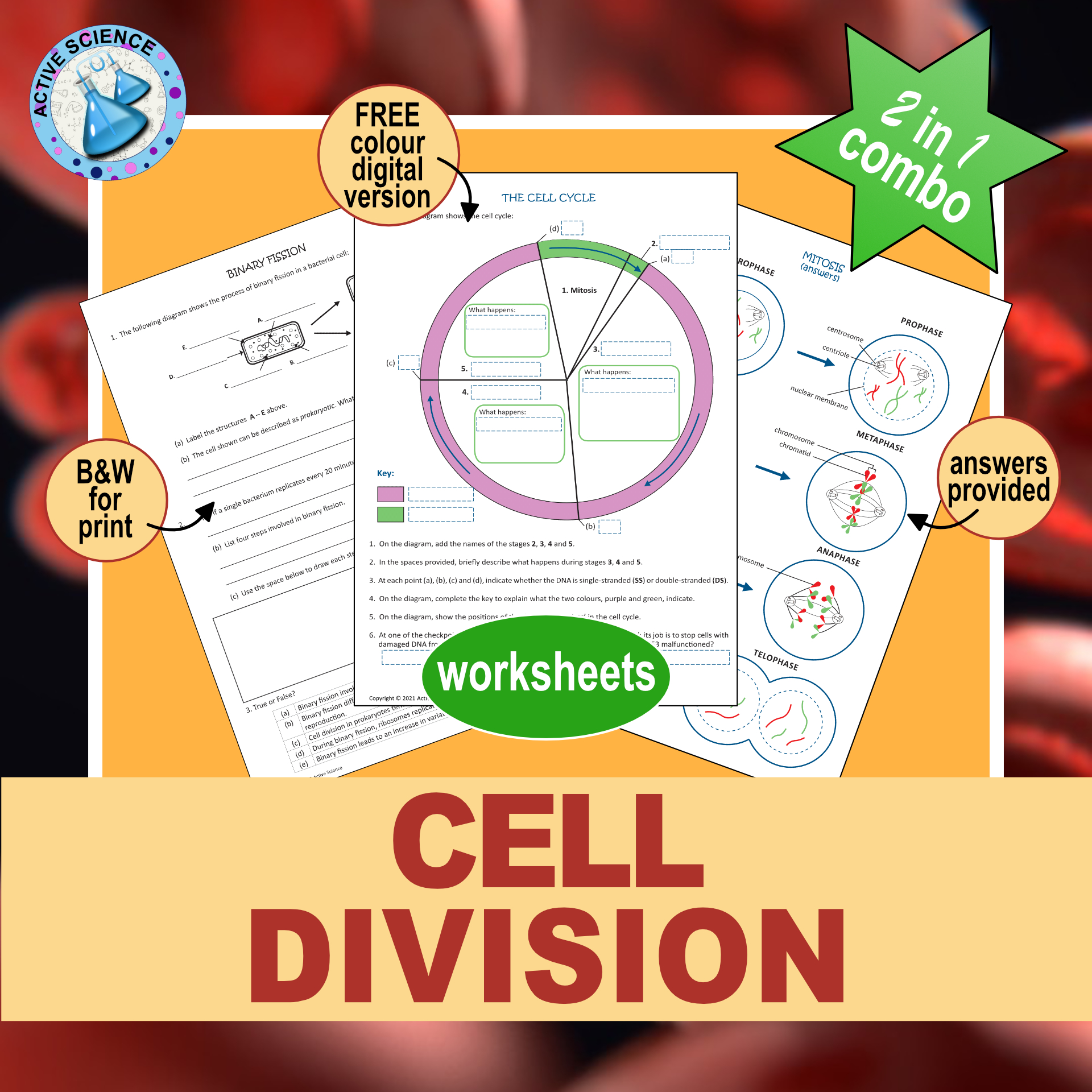 Cell Division: mitosis, meiosis and binary fission | Made By Teachers