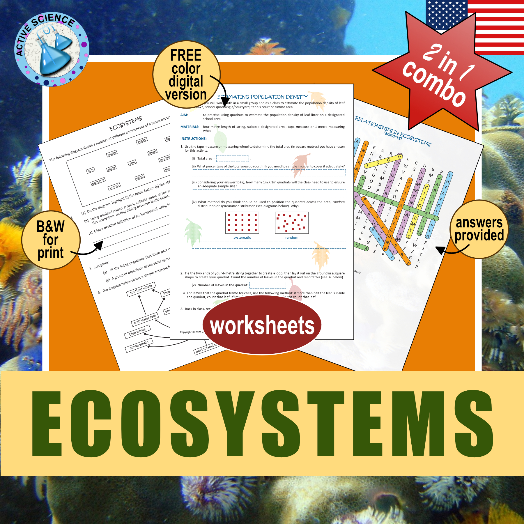 Ecosystems: food chains & food webs, relationships in ecosystems (US edition)