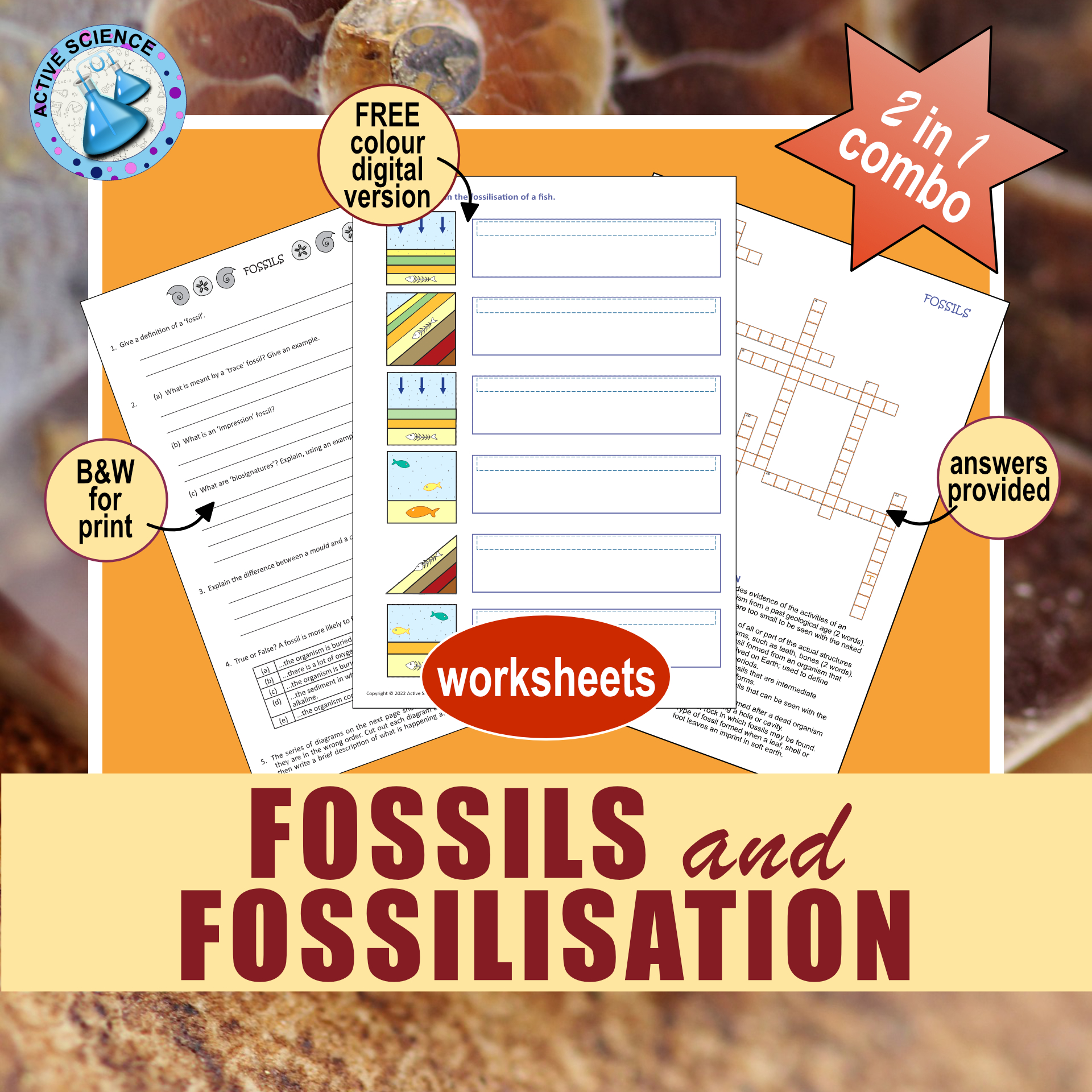 Fossils and Fossilisation