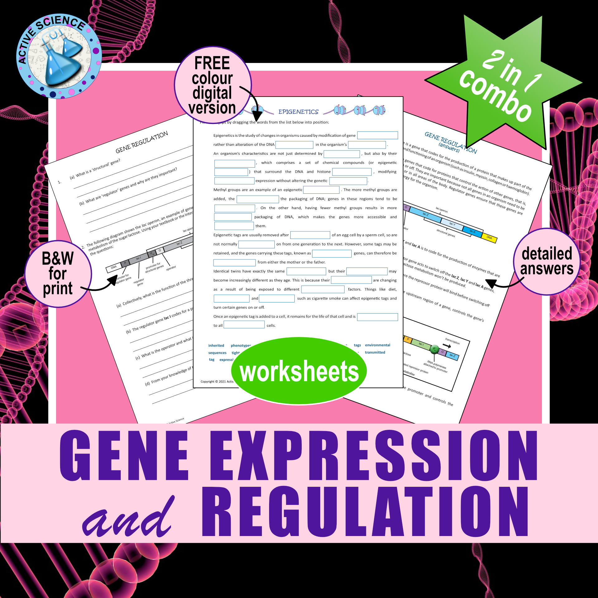 Gene Expression and Regulation