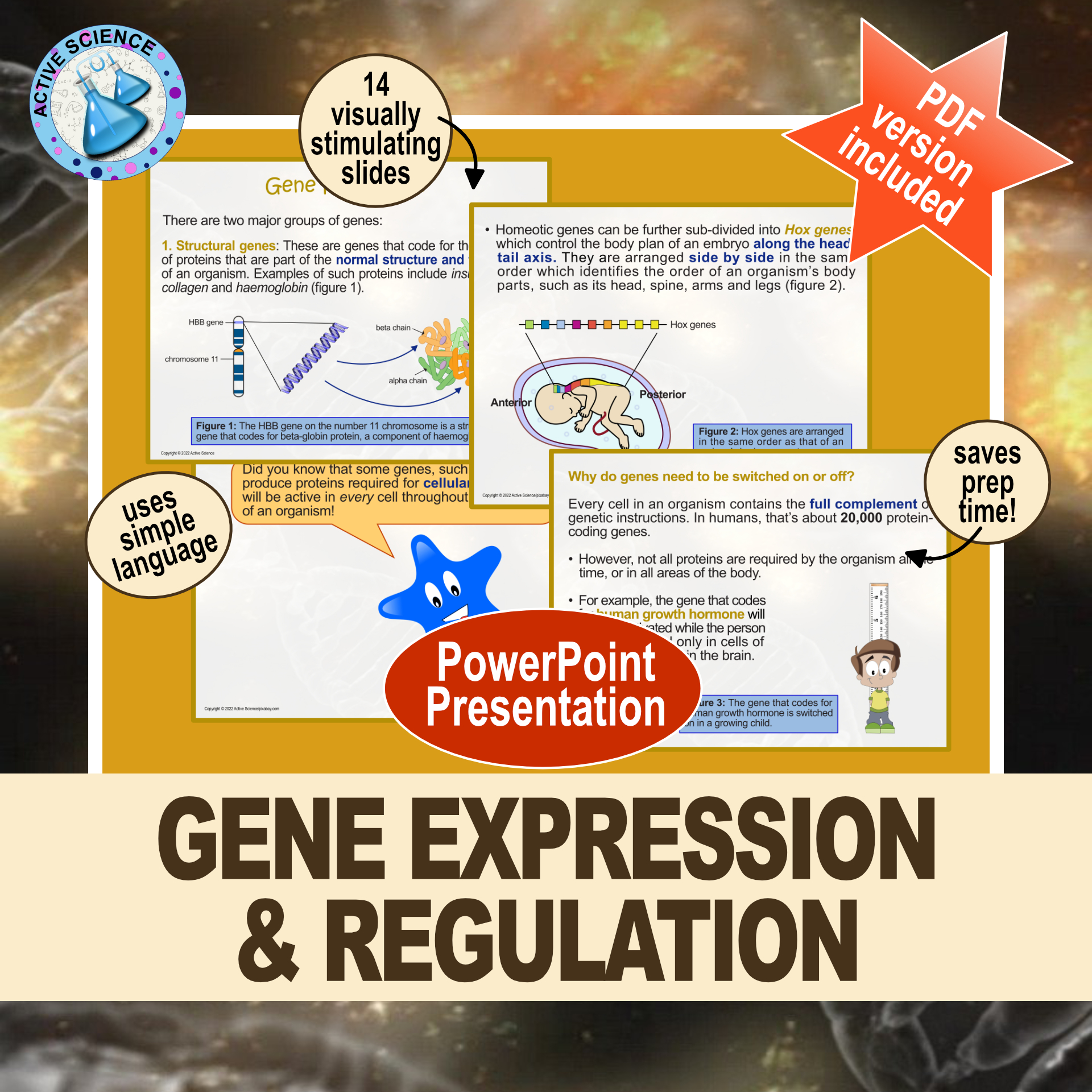 Gene Expression and Regulation (PowerPoint Presentation)
