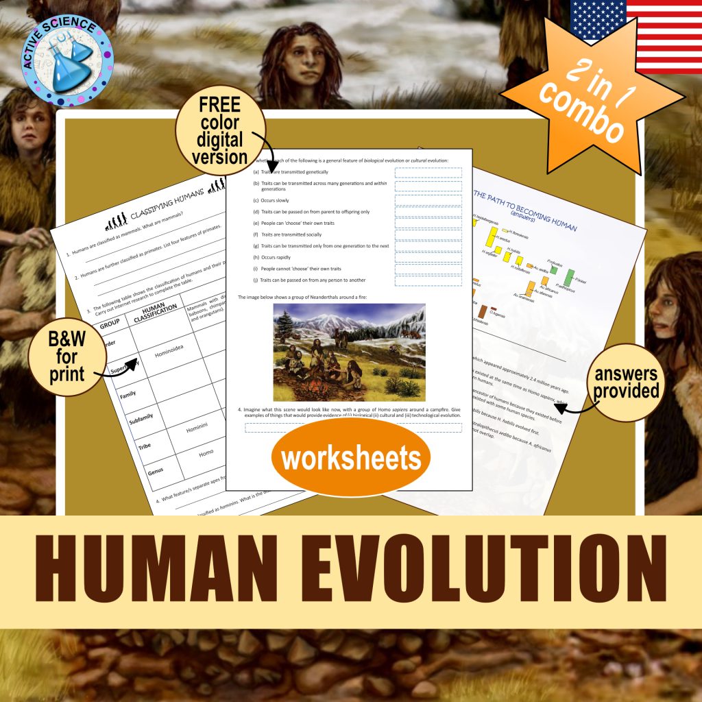 Human Evolution (US edition) | Made By Teachers