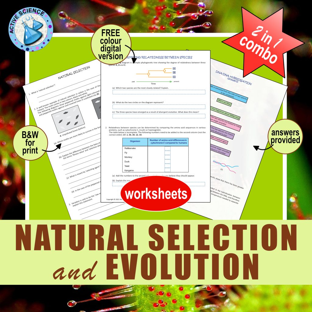 Natural Selection and Evolution | Made By Teachers