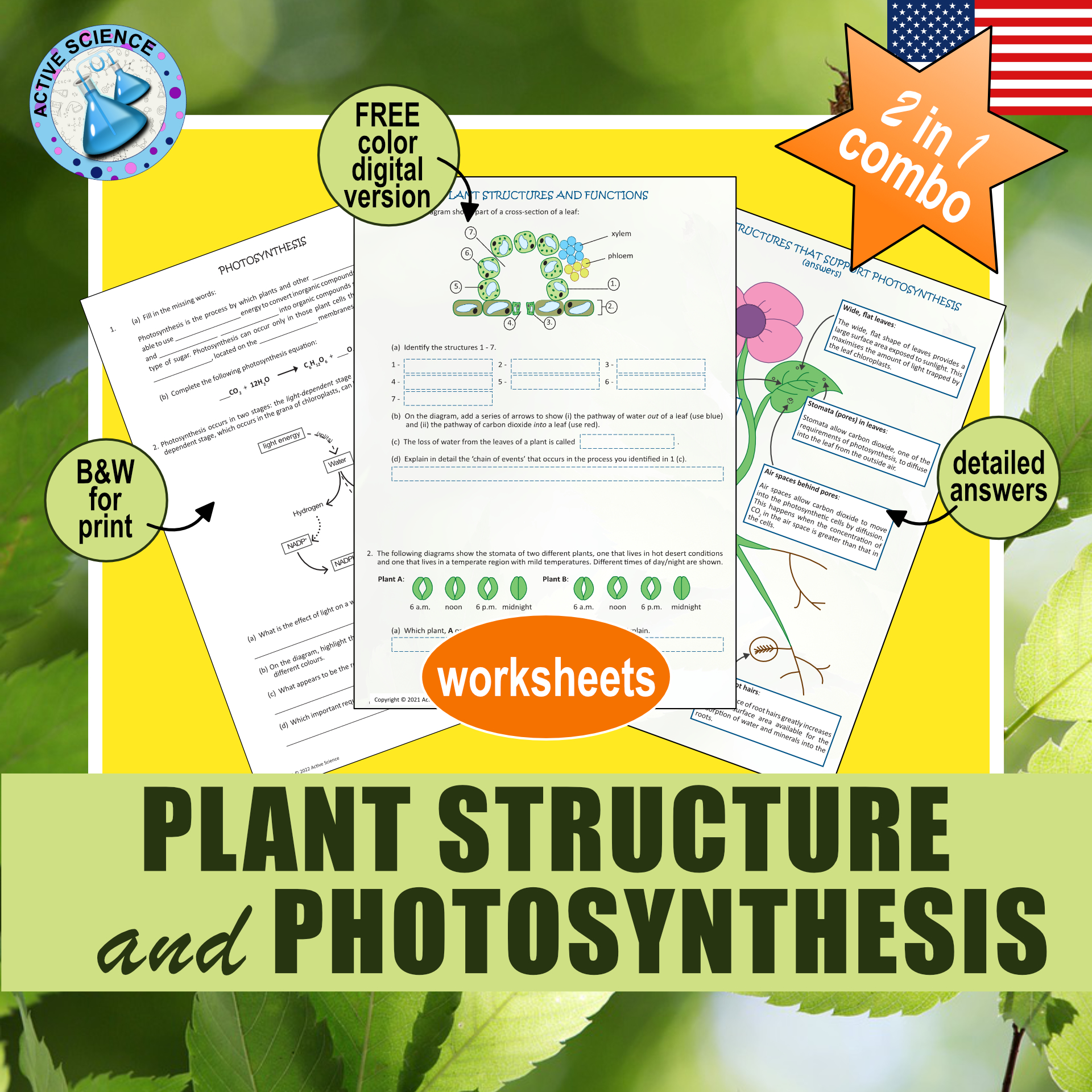 Plant Structure and Photosynthesis (US edition)