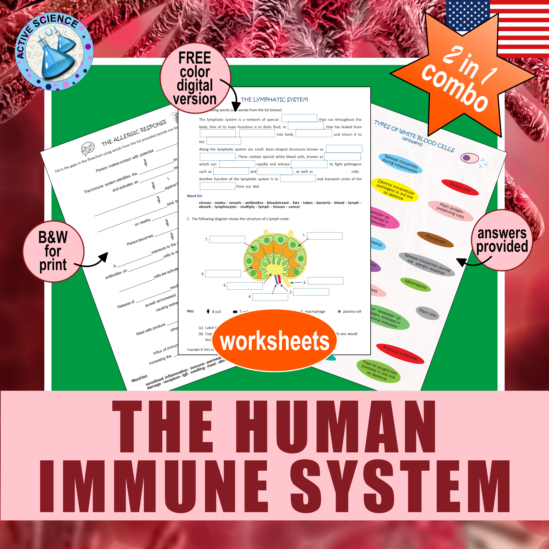 The Immune System: 1st, 2nd and 3rd lines of defense (US edition)