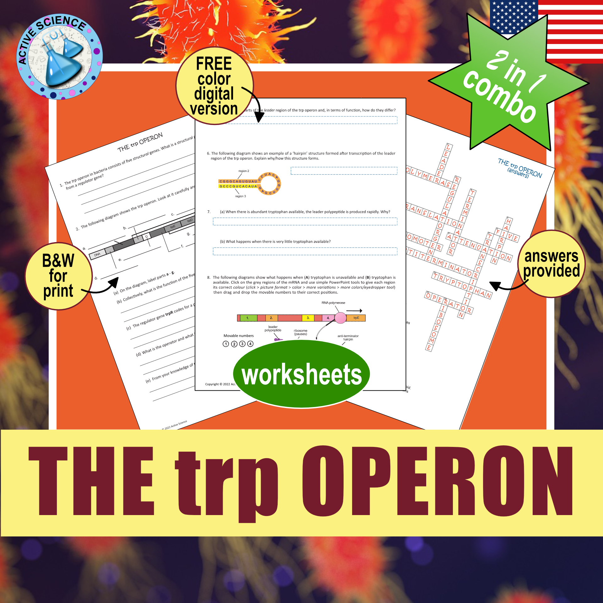 The trp Operon: gene regulation in bacteria (US edition)