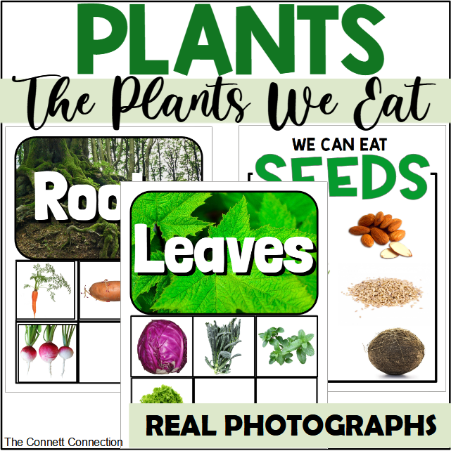The Plants We Eat: A Parts of a Plant Sort