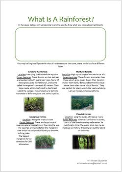 Rainforests (With Clime Graphs)