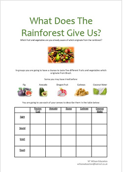 Foods And Medicines From The Rainforest