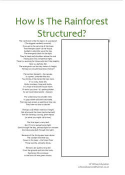 Rainforest Structure