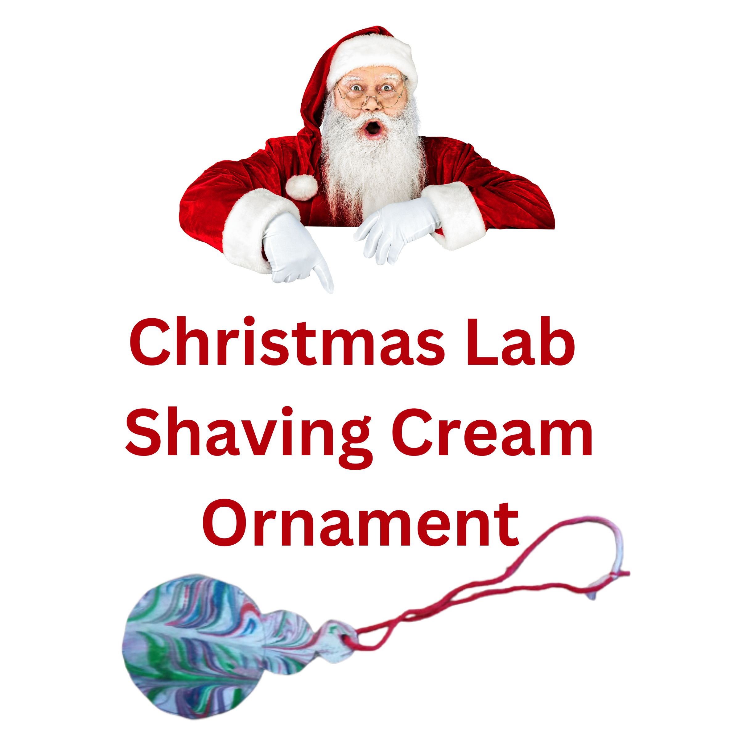 Chemistry Christmas Lab Shaving cream ornaments Middle School Science