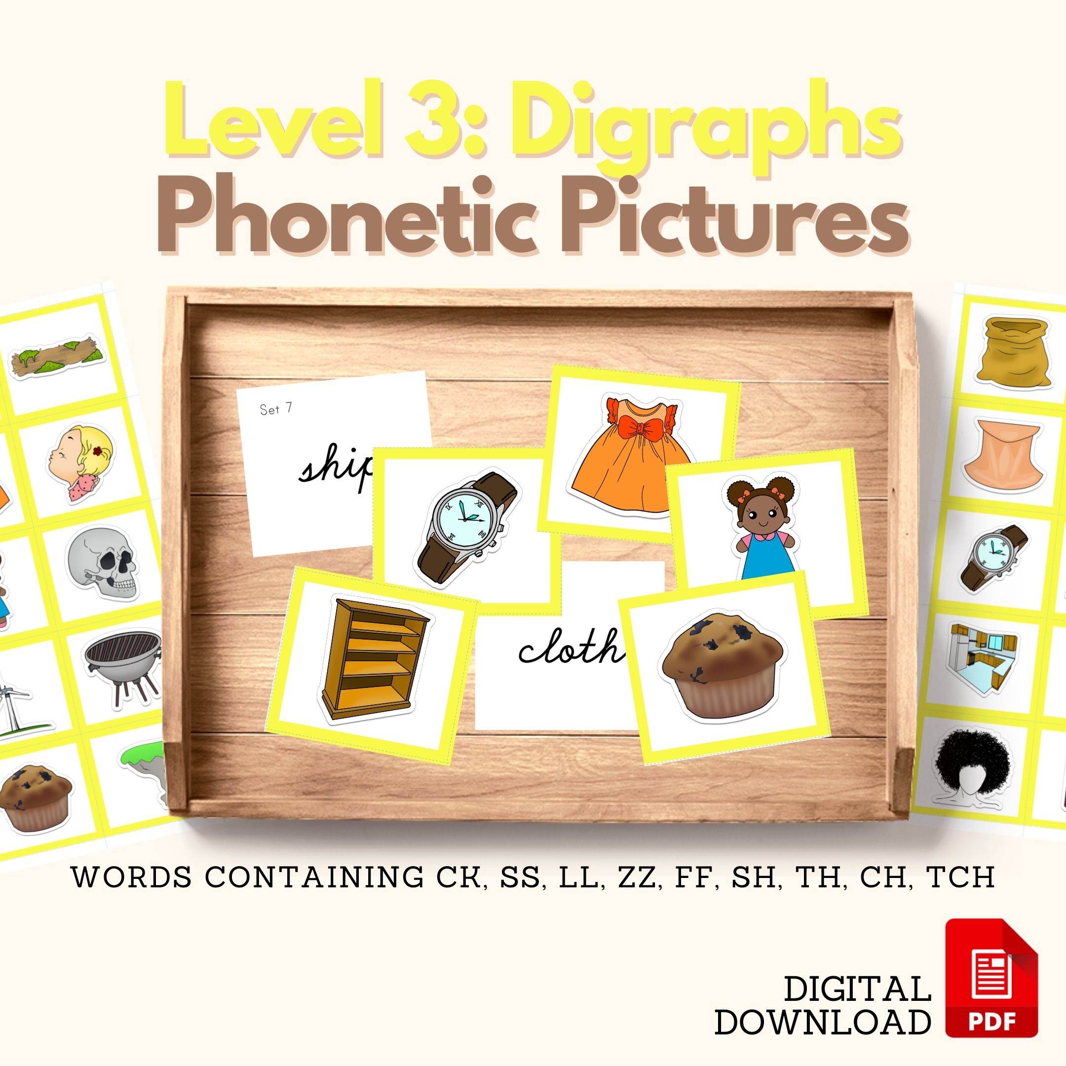Bat Life Cycle 3-Part Cards & Chart Zoology Montessori Printable ...