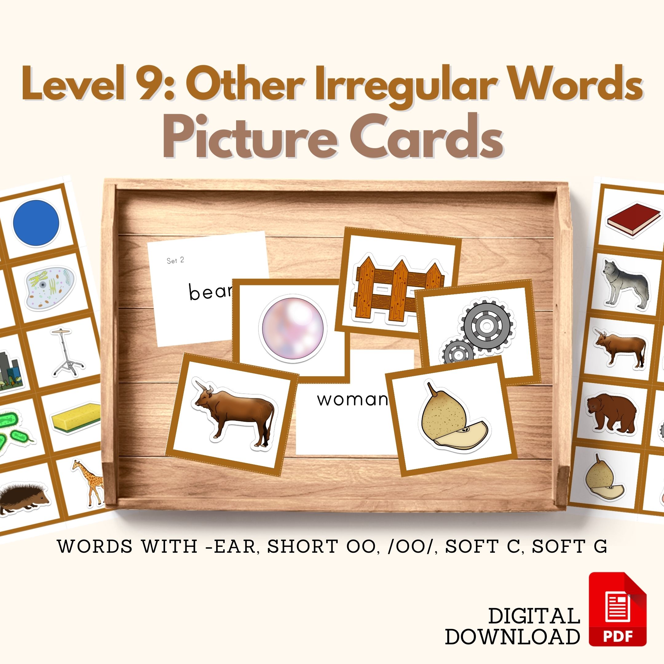 Montessori Language Other Irregular Words Picture Cards for Object Box in CURSIVE